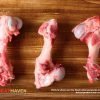 Pork Humerus Bone - Raw sample
